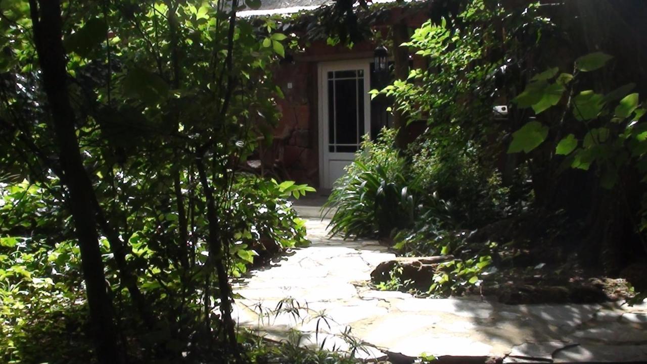 Forest Creek Lodge & Spa Dullstroom Ruang foto