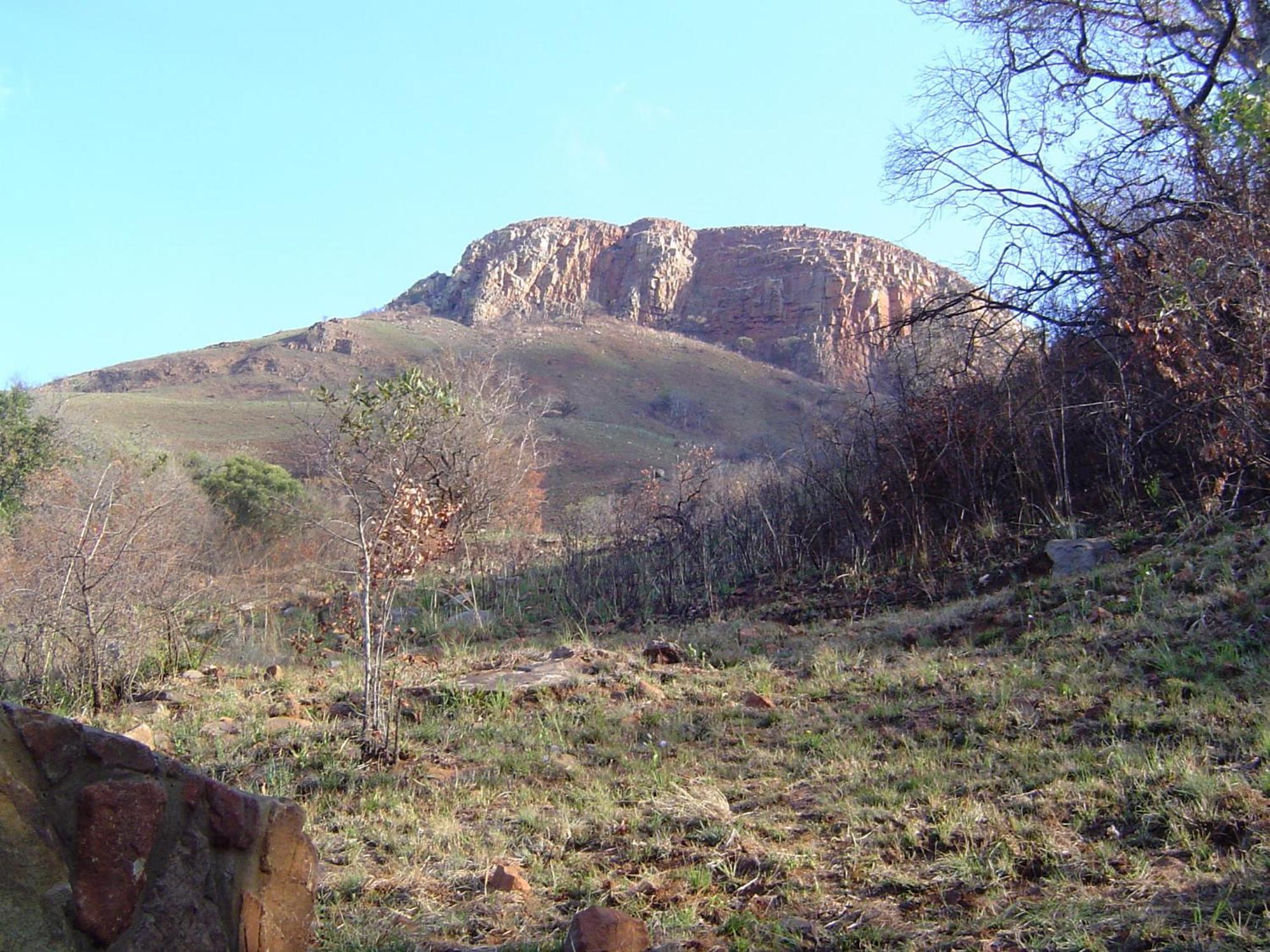 Forest Creek Lodge & Spa Dullstroom Fasilitas foto