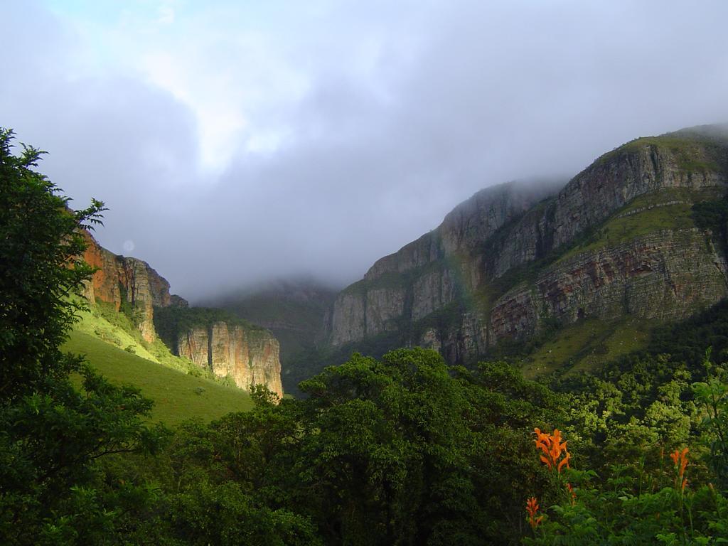 Forest Creek Lodge & Spa Dullstroom Bagian luar foto