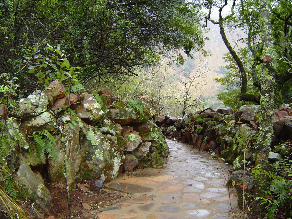 Forest Creek Lodge & Spa Dullstroom Bagian luar foto