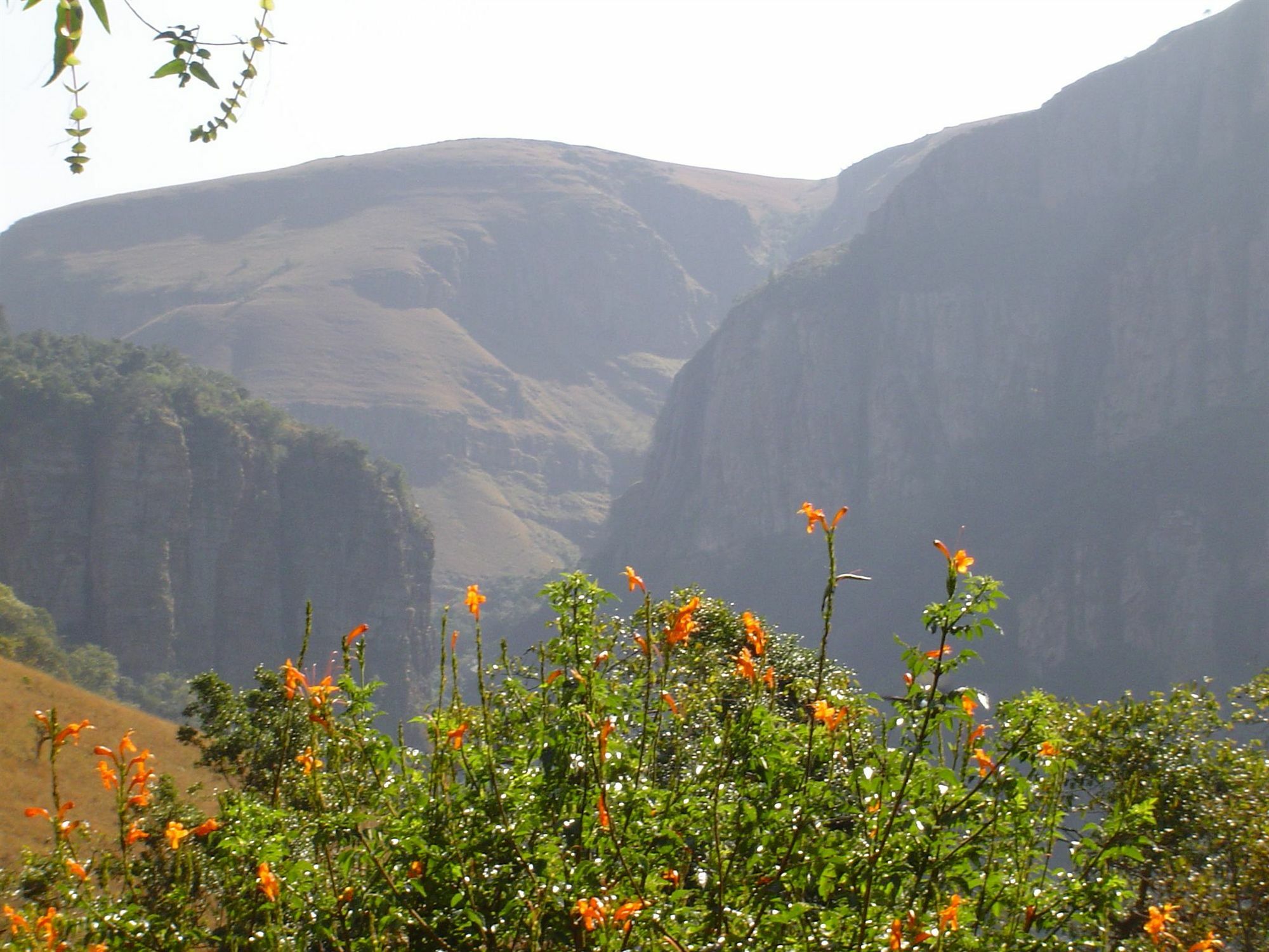 Forest Creek Lodge & Spa Dullstroom Bagian luar foto