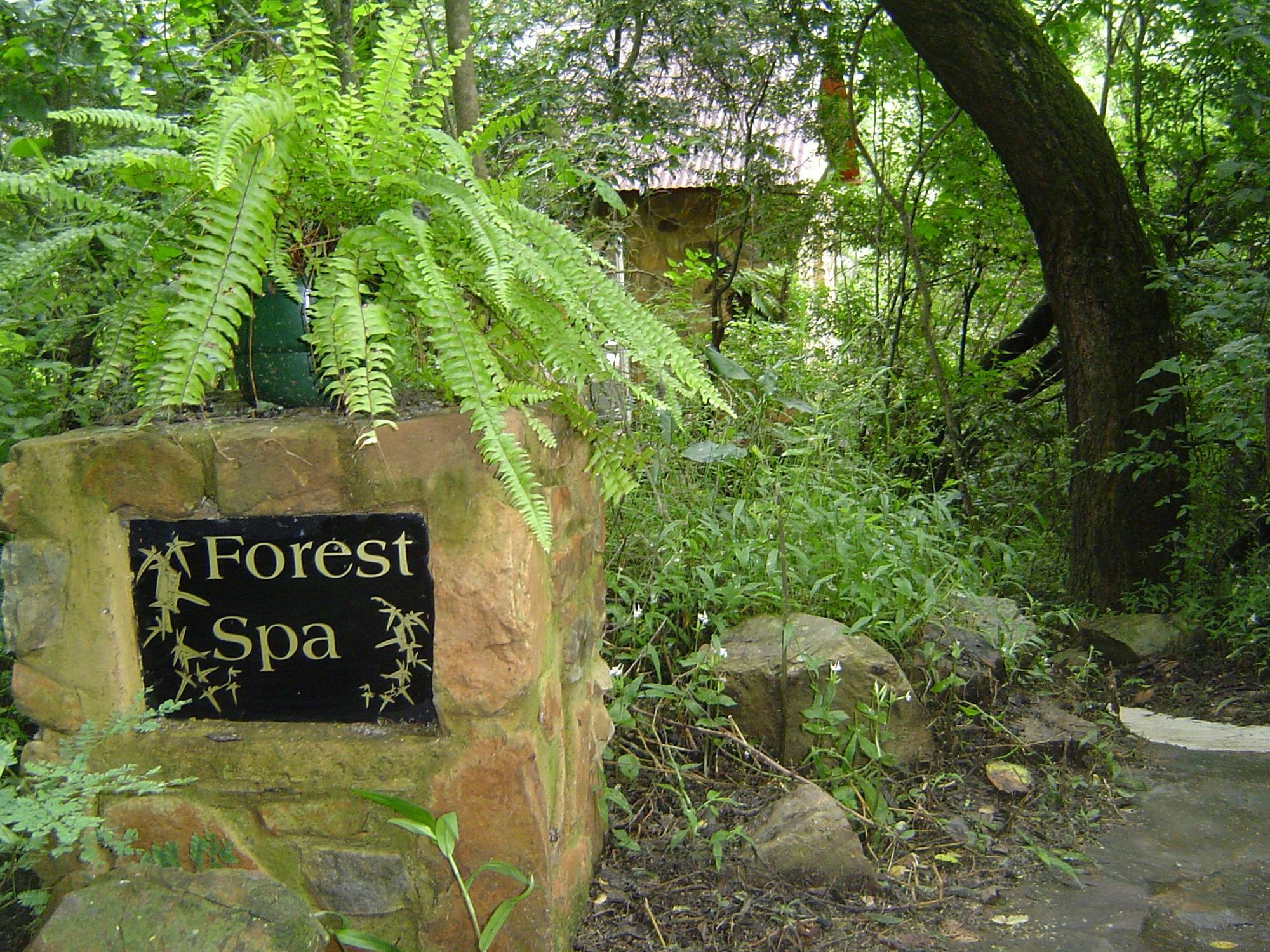 Forest Creek Lodge & Spa Dullstroom Bagian luar foto