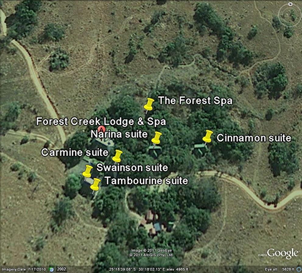 Forest Creek Lodge & Spa Dullstroom Bagian luar foto